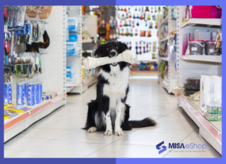 Mở cửa hàng phụ kiện thú cưng: Hướng dẫn từ A – Z kinh doanh cửa hàng phụ kiện thú cưng