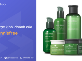 Chiến lược kinh doanh mỹ phẩm Innisfree chinh phục triệu trái tim phái đẹp