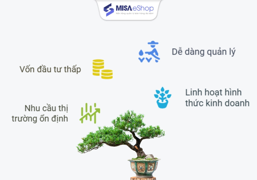 Tại sao nên kinh doanh cây cảnh mini