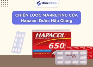 Chiến lược marketing sản phẩm Hapacol của Dược Hậu Giang Chiến lược marketing sản phẩm hapacol dược hậu giang