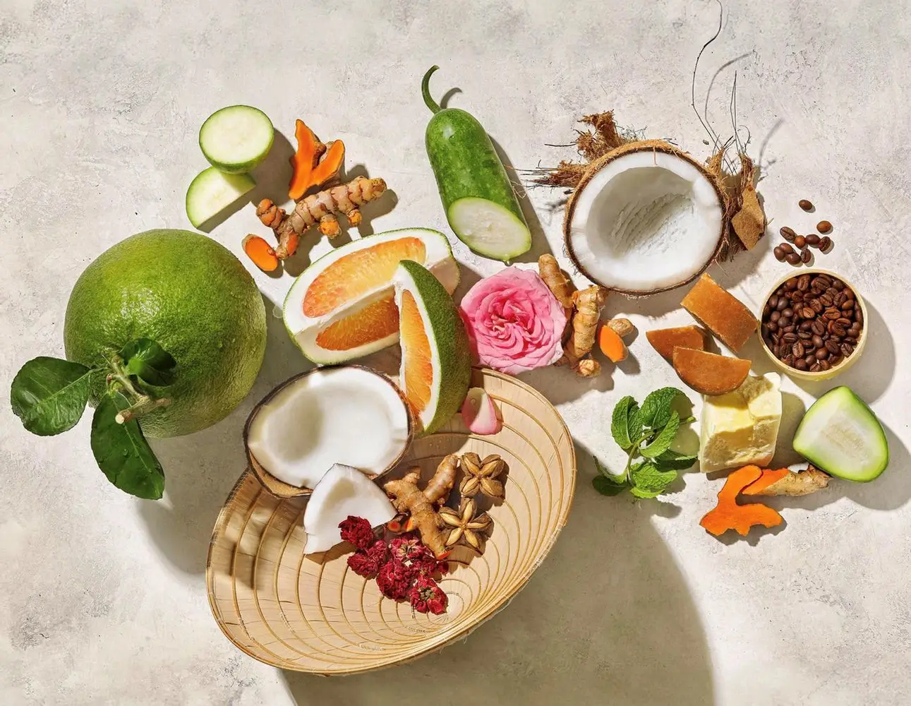chiến lược sản phẩm của cocoon