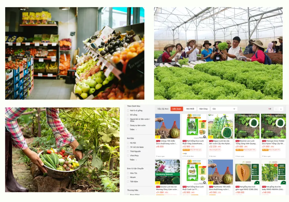 thị trường thực phẩm sạch việt nam