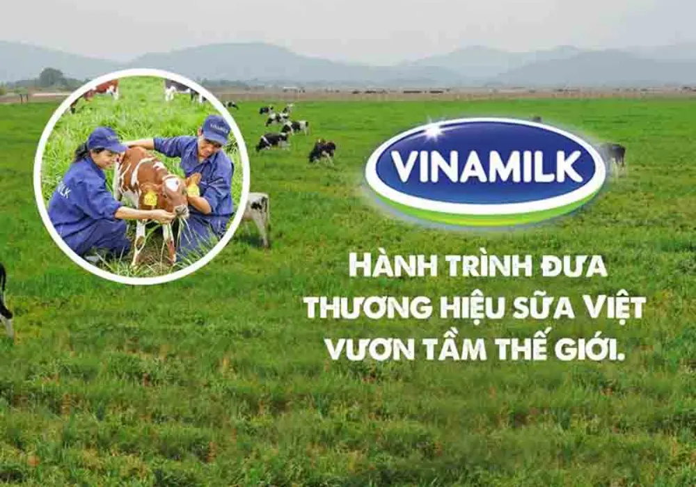 Tổng quan của công ty Vinamilk
