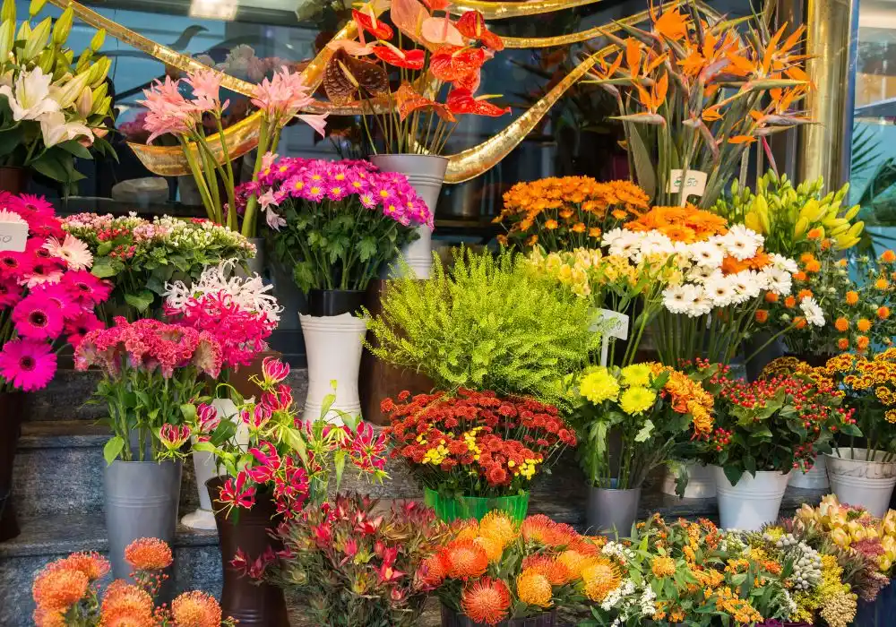 Mở cửa hàng hoa ở nông thôn số vốn 100 triệu