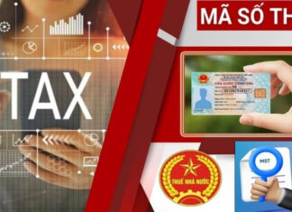 Từ ngày 1/7/2025 sử dụng số định danh cá nhân thay cho mã số thuế, cá nhân, hộ kinh doanh nên làm gì? Sử dụng số định danh cá nhân thay cho mã số thuế