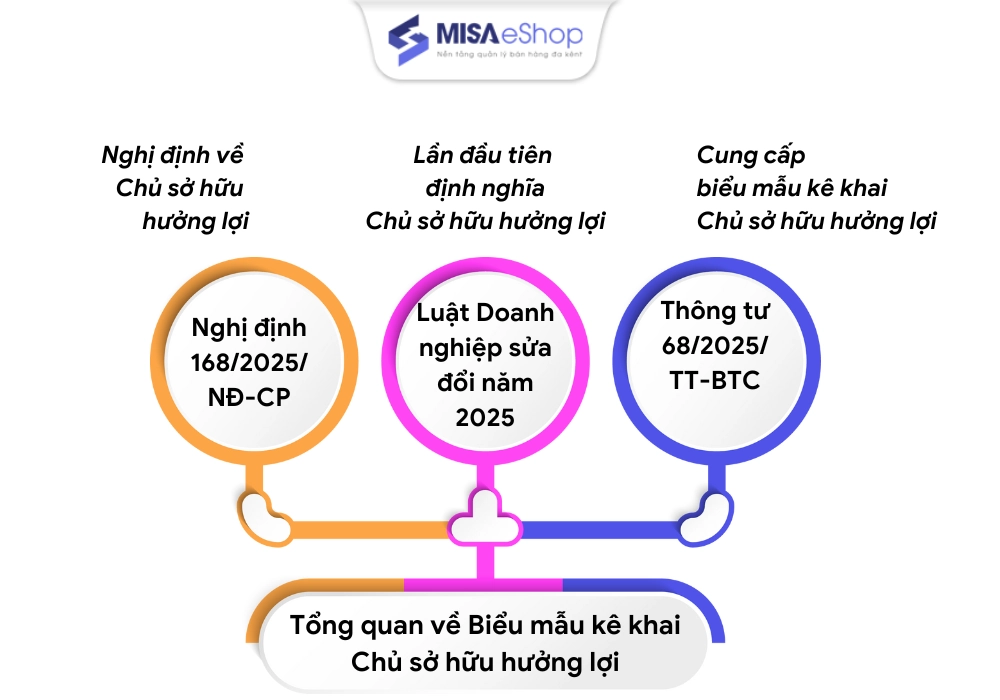 Tổng quan về Biểu mẫu Kê khai Chủ sở hữu Hưởng lợi