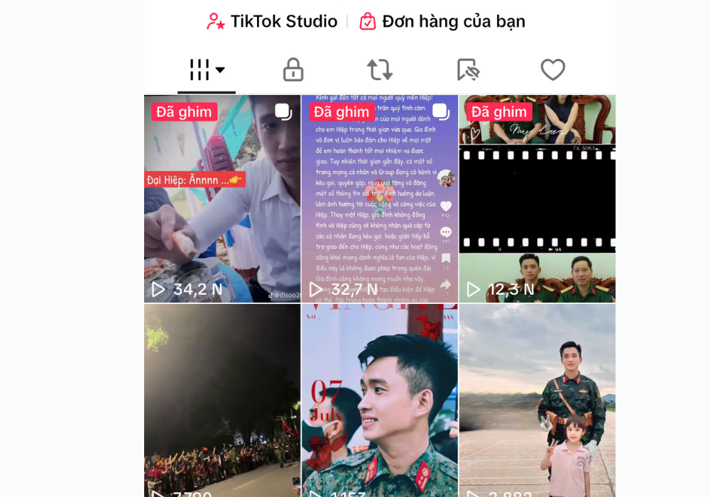 Video tiktok được ghim thành công