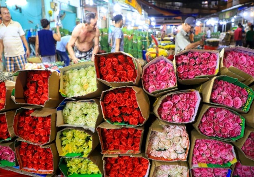 Nhập hoa từ chợ đầu mối