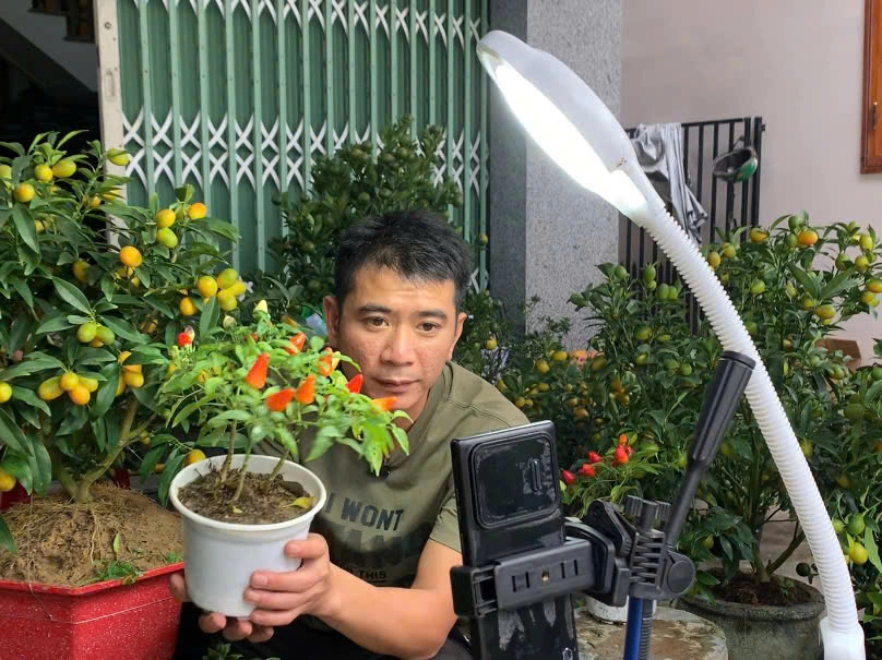 Livestream bán hoa dịp tết