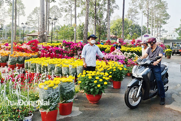 mô hình kinh doanh hoa tết
