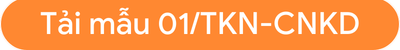 mẫu 01tkn