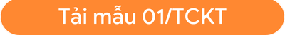 Mẫu số 01/TCKT