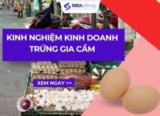 Kinh nghiệm kinh doanh trứng gia cầm: Vốn, điều kiện mở, lợi nhuận, chi phí mở cửa hàng bán trứng