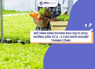 Mô hình kinh doanh rau sạch 2026: Hướng dẫn từ A – Z cho khởi nghiệp thành công mô hình kinh doanh rau sạch