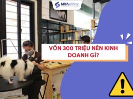 Vốn 300 triệu nên kinh doanh gì? 10+ ý tưởng kinh doanh lãi cao Vốn 300 triệu nên kinh doanh gì