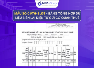 Mẫu số 01/TH-BLĐT BẢNG TỔNG HỢP DỮ LIỆU BIẾN LAI ĐIỆN TỬ GỬI CƠ QUAN THUẾ Mẫu số 01/TH-BLĐT