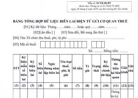 Mẫu số 01/TH-BLĐT